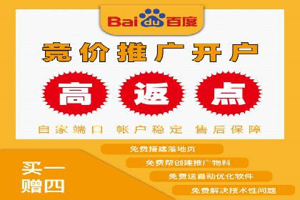 百度竞价广告运营技巧与案例分享